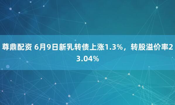 尊鼎配资 6月9日新乳转债上涨1.3%，转股溢价率23.04%