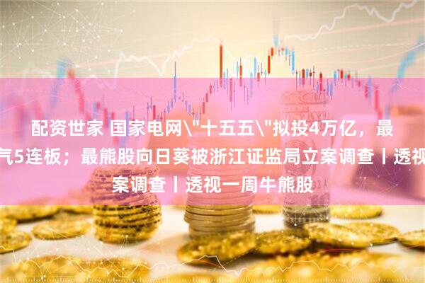 配资世家 国家电网＂十五五＂拟投4万亿，最牛股博菲电气5连板；最熊股向日葵被浙江证监局立案调查丨透视一周牛熊股