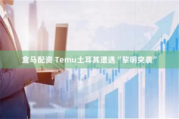 盒马配资 Temu土耳其遭遇“黎明突袭”