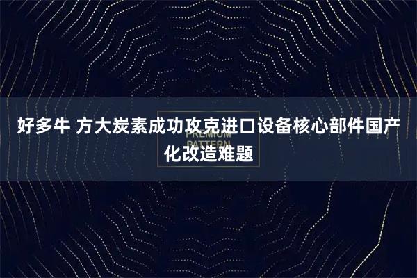 好多牛 方大炭素成功攻克进口设备核心部件国产化改造难题