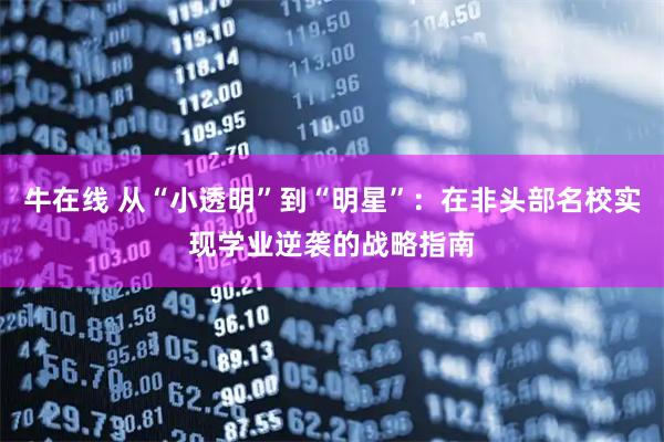 牛在线 从“小透明”到“明星”：在非头部名校实现学业逆袭的战略指南